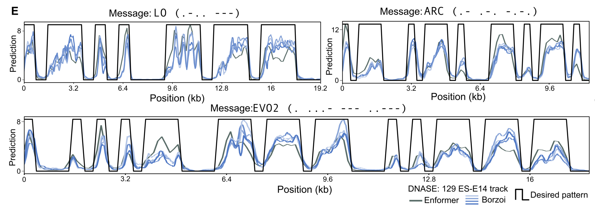 Chromatin accessibility