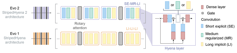 Evo 2 Architecture
