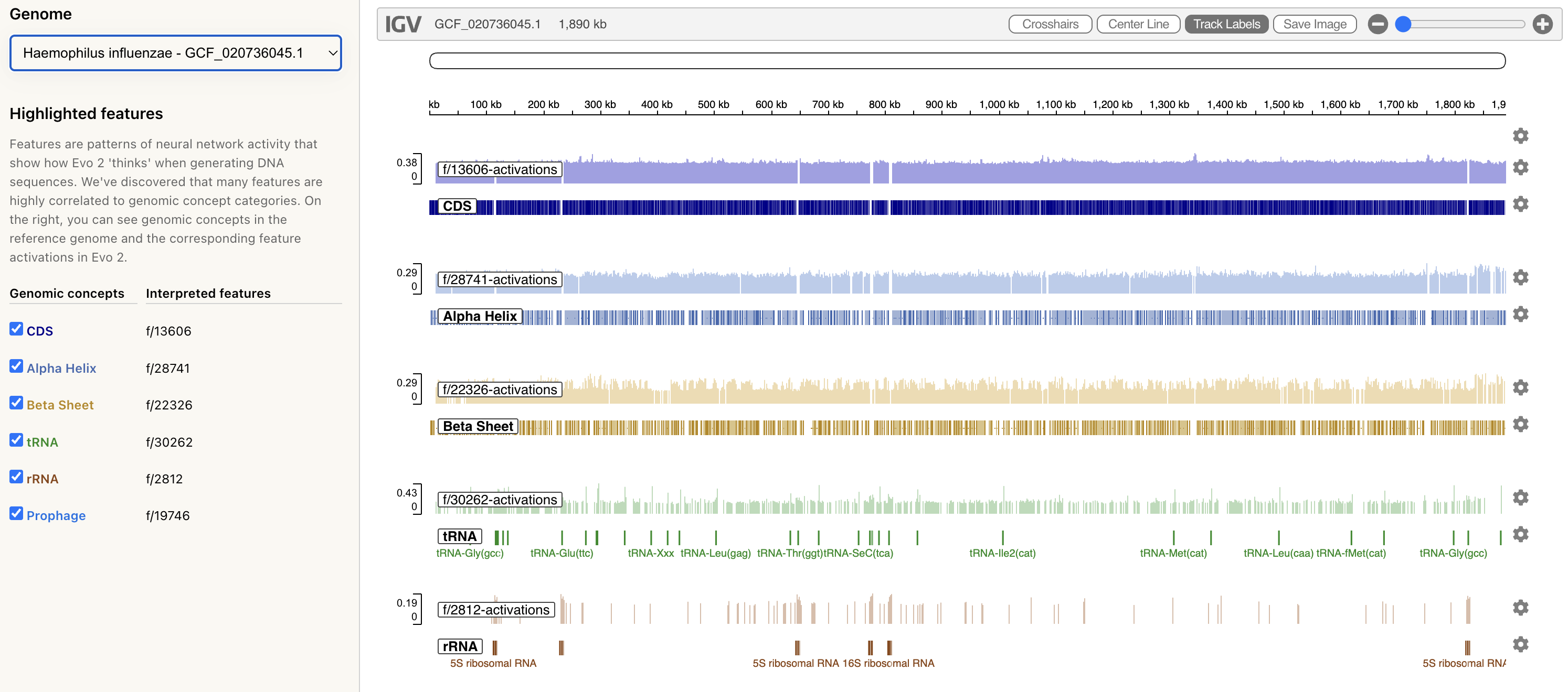 Mechanistic Interpretability Visualizer