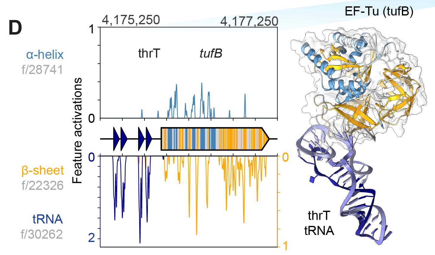 Annotated protein structure