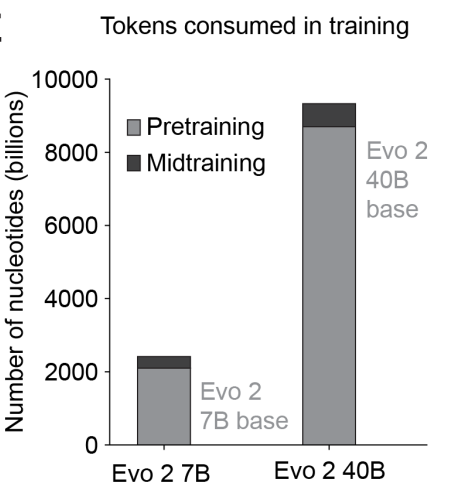 Evo 2 Training Tokens